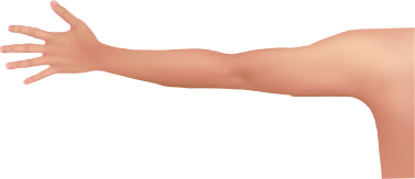 Arm